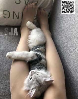 19层楼电视剧免费观看_DVD高清视频播放