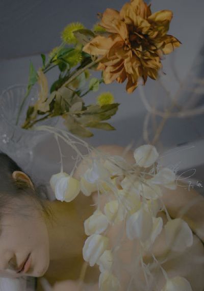玫瑰故事电视剧免费观看全集_1080免费在线播放